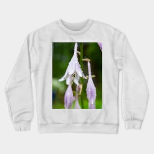 Hosta Crewneck Sweatshirt